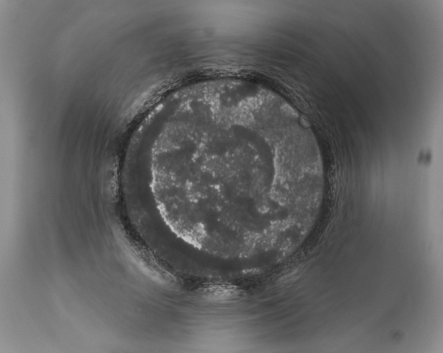 X0000113980642200910231709