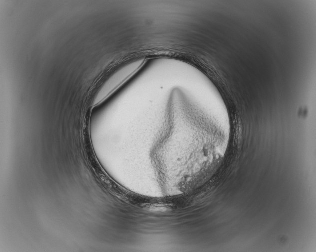 X0000113980643200910231709