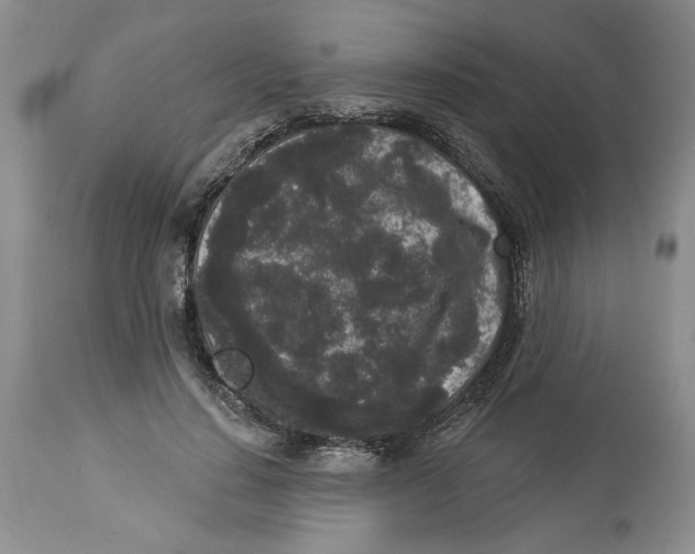 X0000113980644200910231709