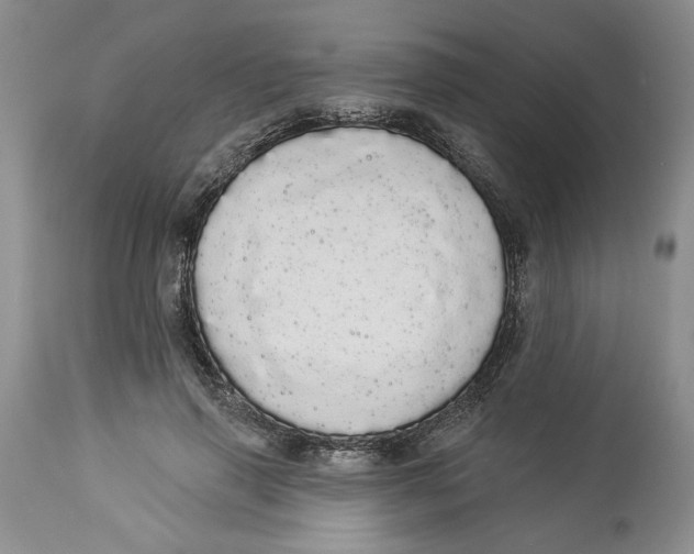 X0000113980645200910231709