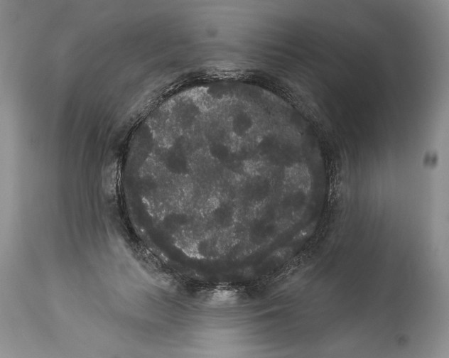 X0000113980647200910231709