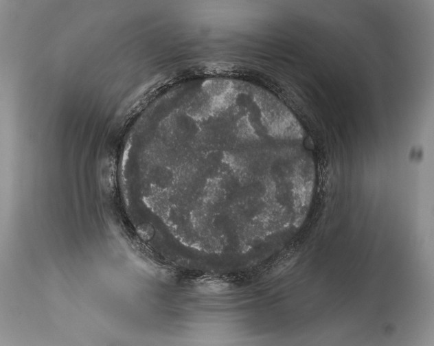 X0000113980648200910231709