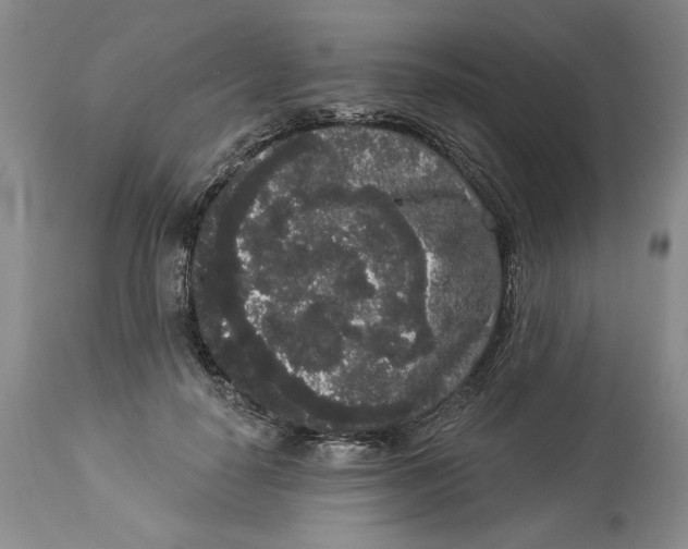 X0000113980650200910231709