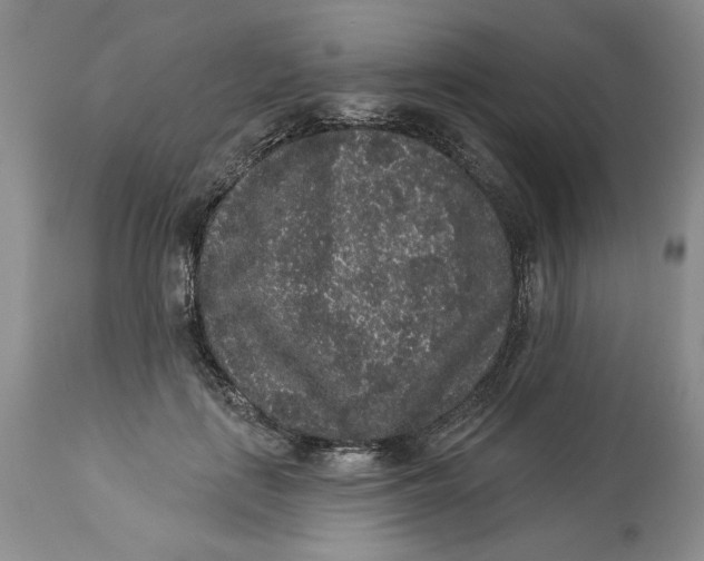 X0000113980651200910231709