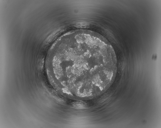 X0000113980652200910231709