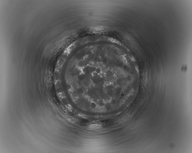 X0000113980653200910231709