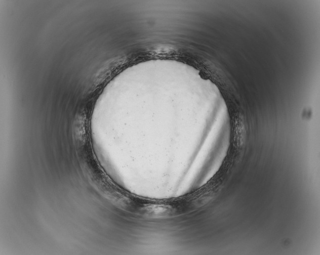 X0000113980654200910231709