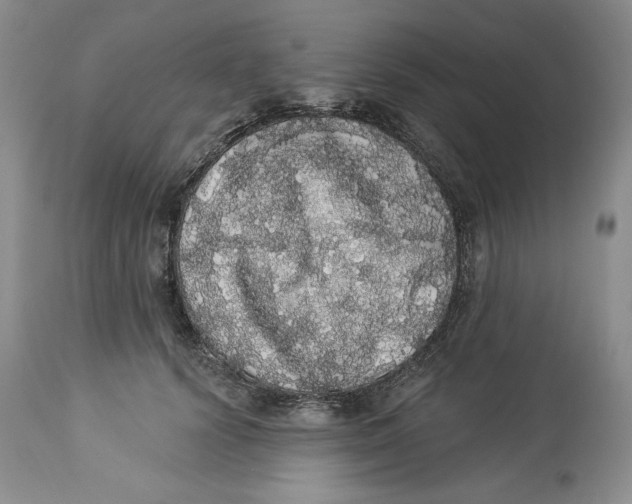 X0000113980656200910231709