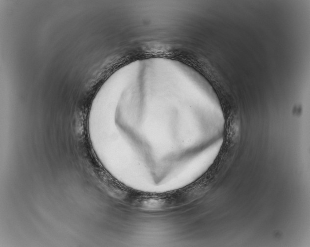 X0000113980658200910231709