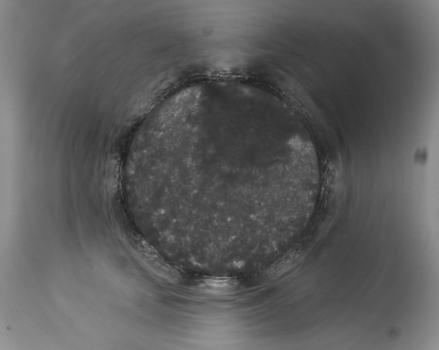 X0000113980659200910231709