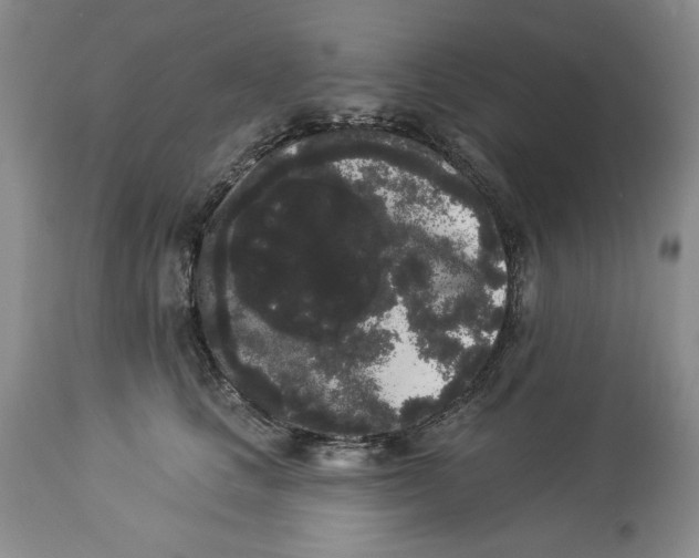 X0000113980661200910231709