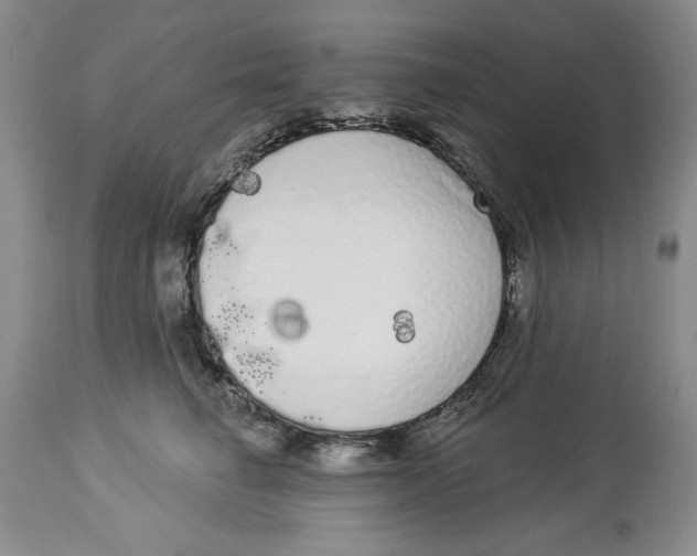 X0000113980662200910231709