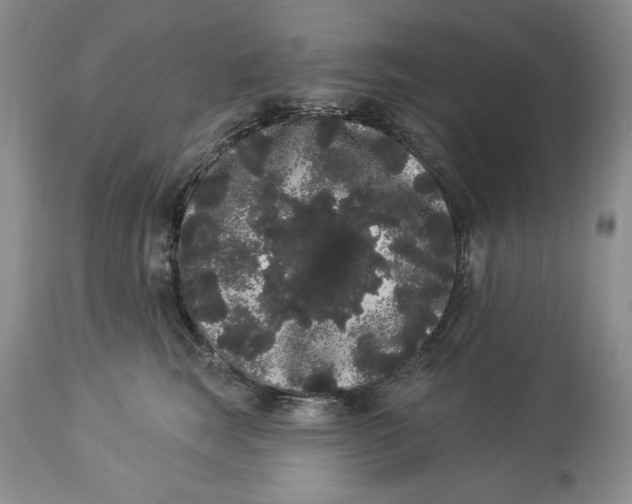 X0000113980663200910231709