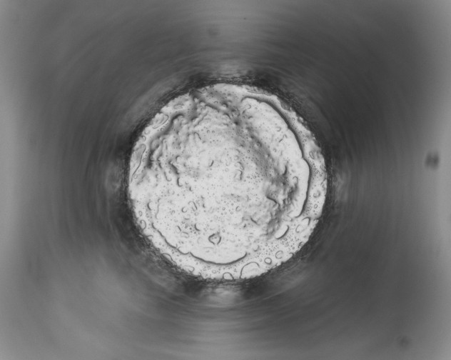 X0000113980665200910231709