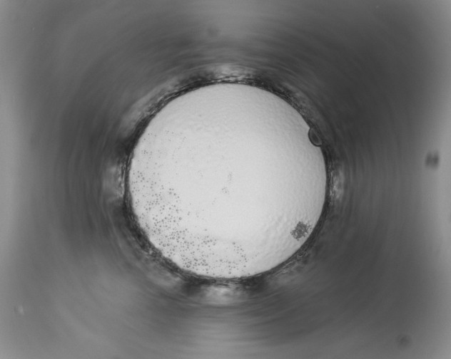 X0000113980666200910231709