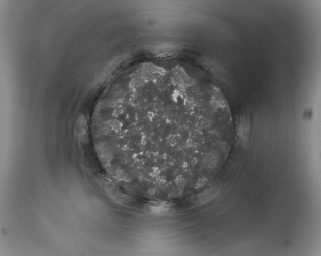 X0000113980667200910231709