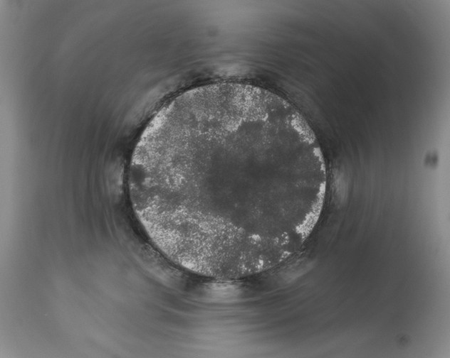 X0000113980668200910231709