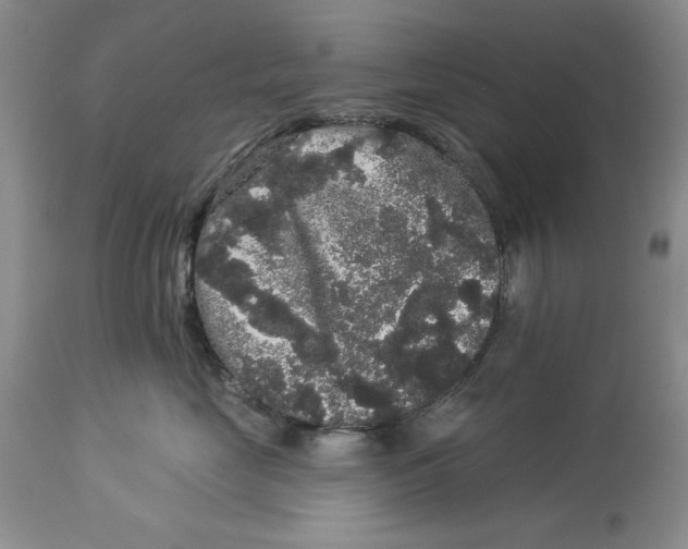 X0000113980669200910231709