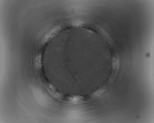 X0000113980670200910231709