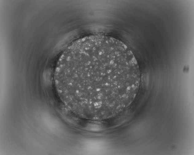 X0000113980671200910231709