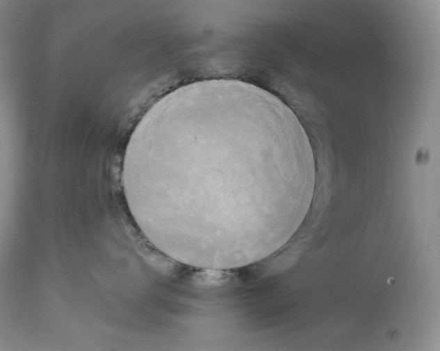 X0000113980672200910231709