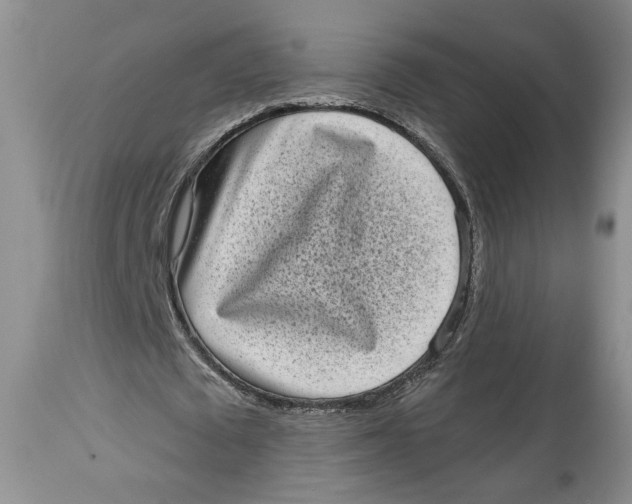 X0000113980673200910231709