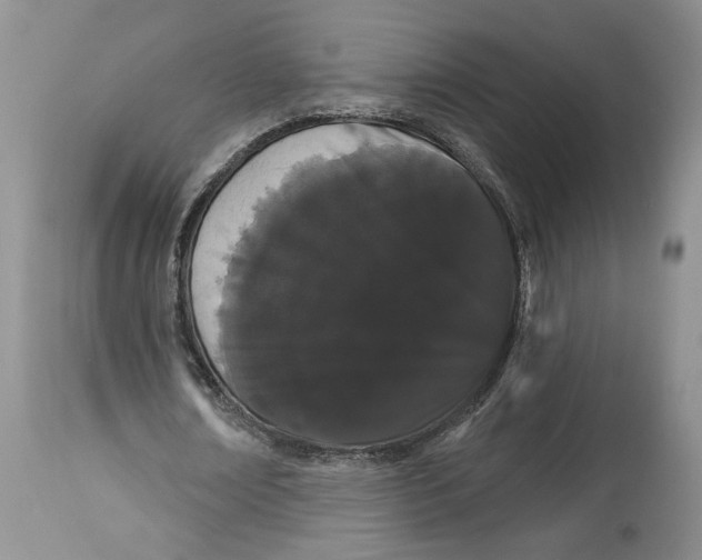 X0000113980674200910231709