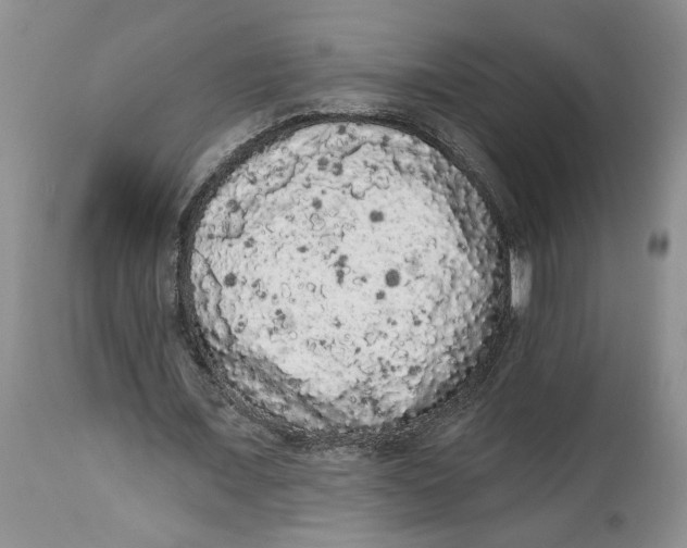 X0000113980675200910231708