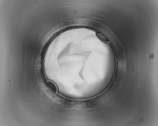 X0000113980676200910231708