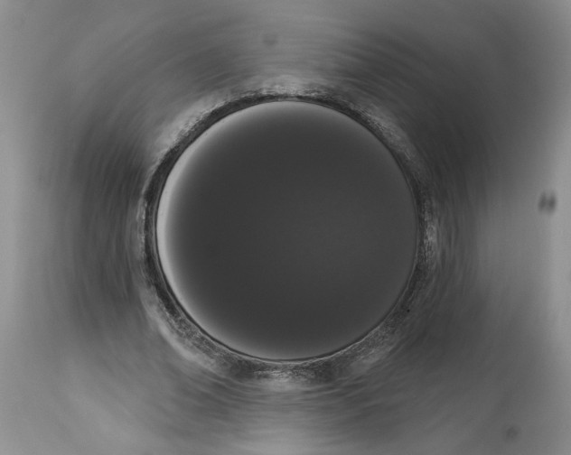 X0000113980678200910231708