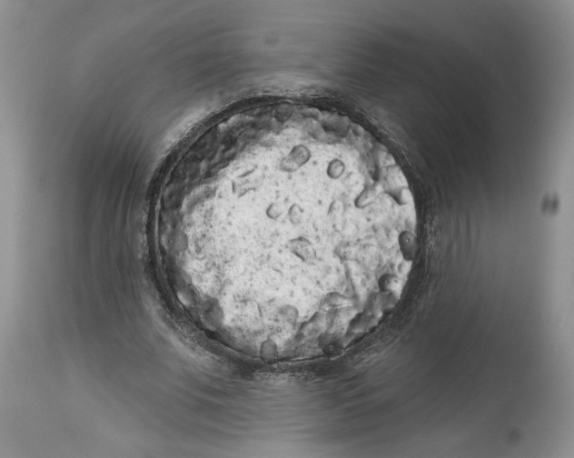 X0000113980679200910231708