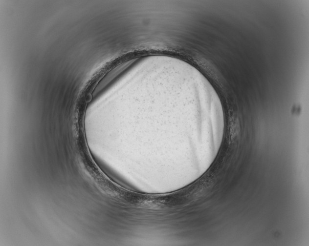 X0000113980680200910231708