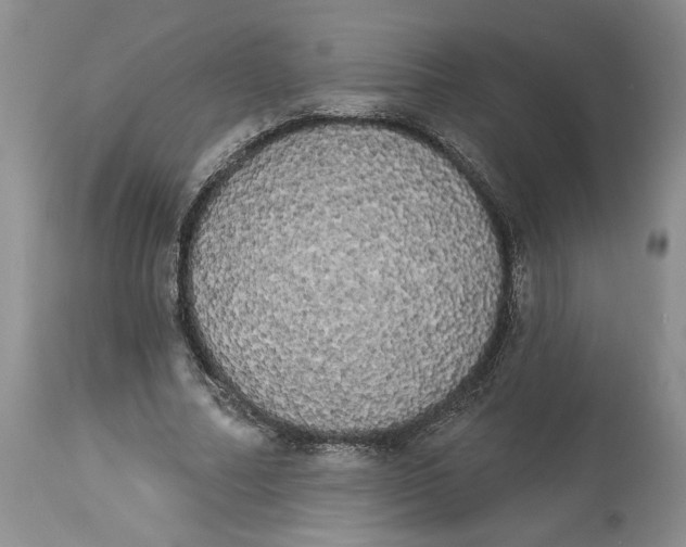 X0000113980682200910231708