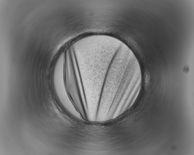 X0000113980684200910231708