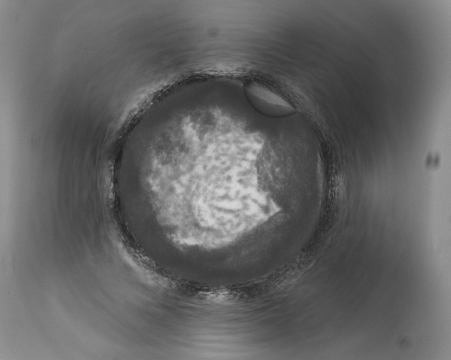 X0000113980688200910231708