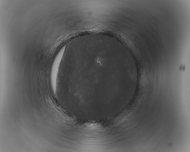 X0000113980689200910231708