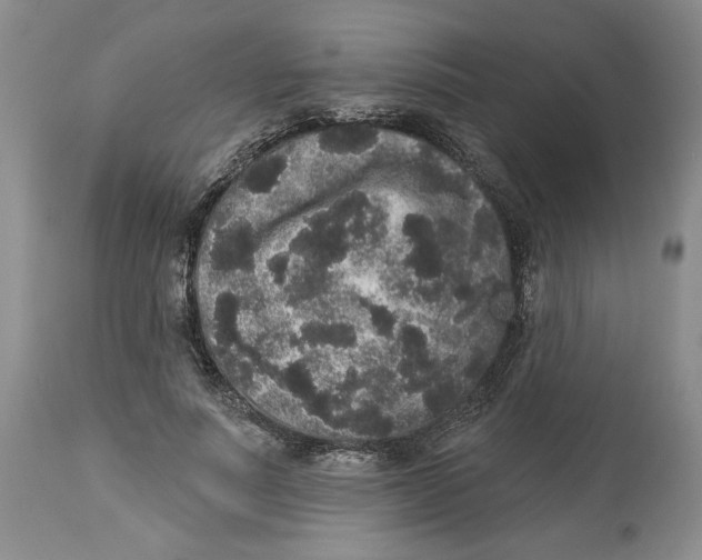 X0000113980691200910231708