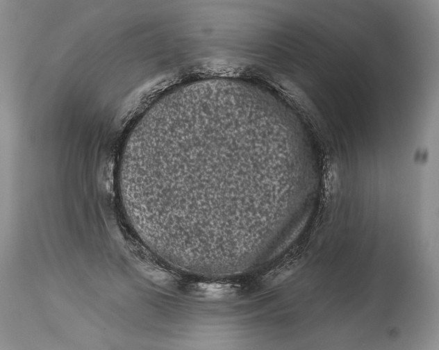 X0000113980693200910231708