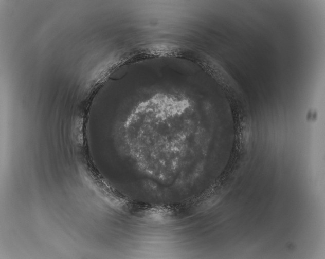 X0000113980696200910231708