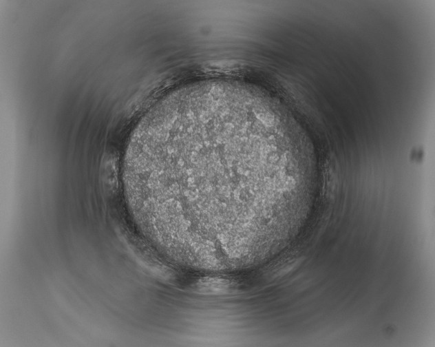 X0000113980699200910231708