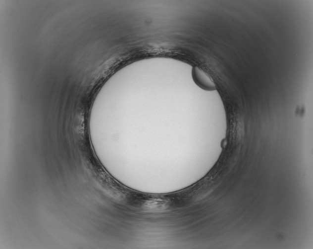 X0000113980700200910231708