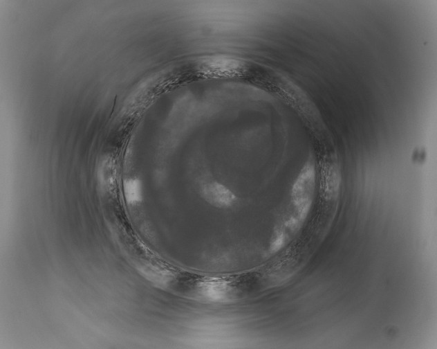 X0000113980701200910231708