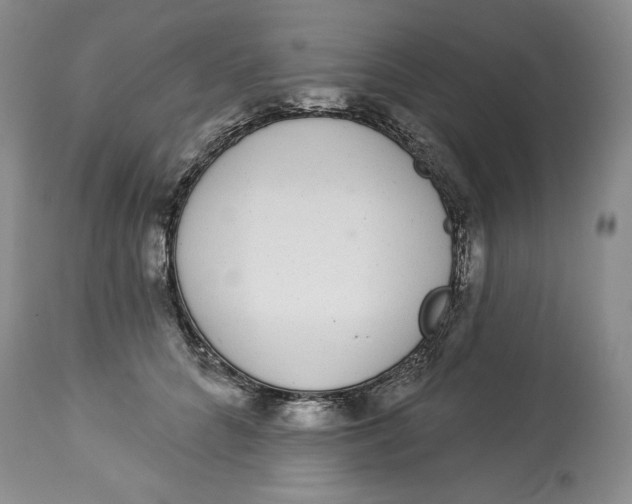 X0000113980704200910231708