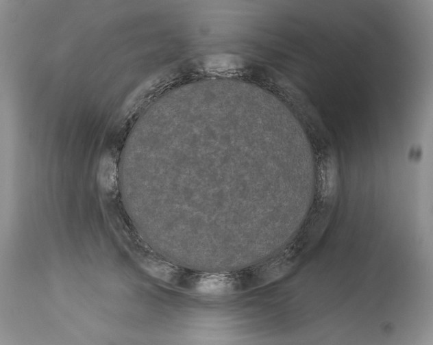 X0000113980705200910231708