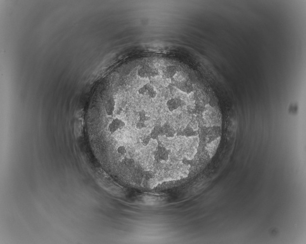 X0000113980707200910231708