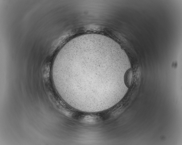 X0000113980708200910231708