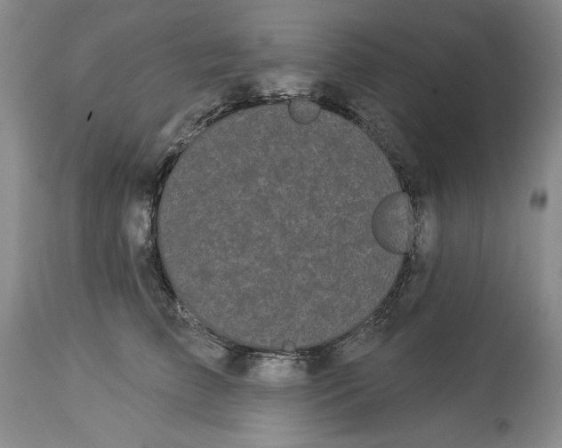 X0000113980709200910231708