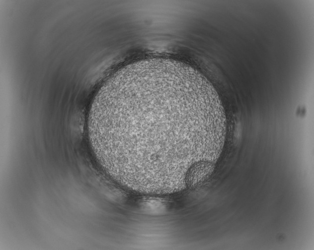 X0000113980710200910231708