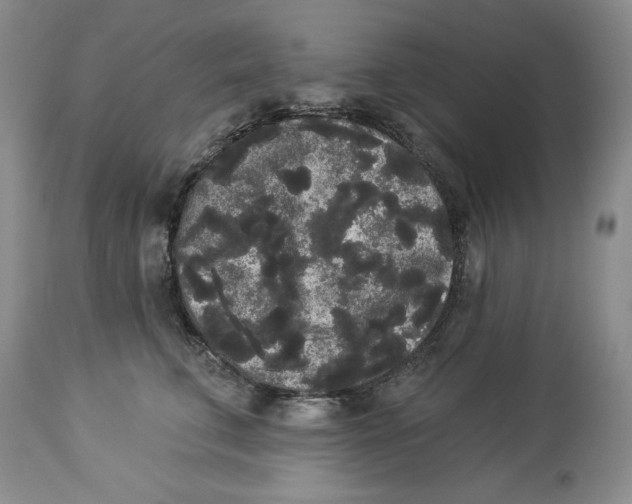 X0000113980711200910231708