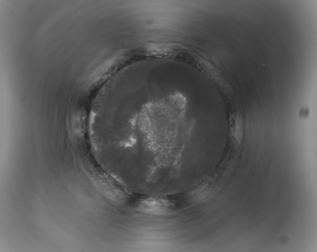 X0000113980712200910231708